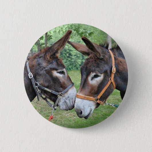 ろばの親友 缶バッジ (正面)