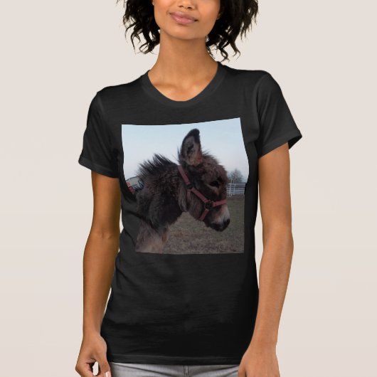 ろばのTシャツ Tシャツ (正面)