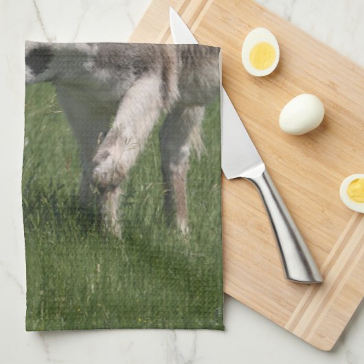 ろばタオル キッチンタオル (四つ折り)