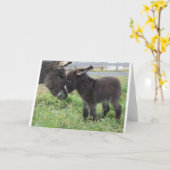 ろば カード (黄色い花)