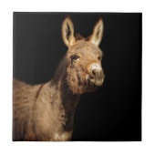 ろば タイル (正面)