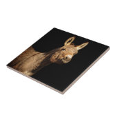 ろば タイル (側面)