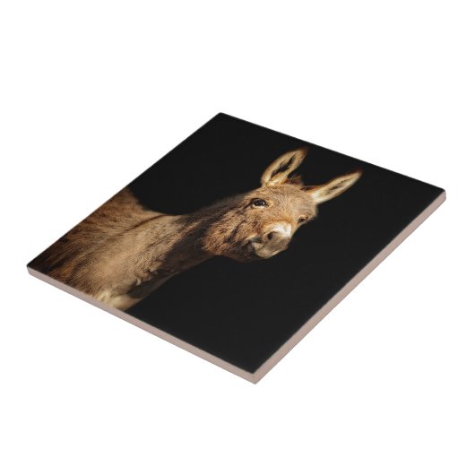 ろば タイル (側面)