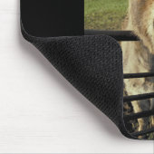 ろば マウスパッド (コーナー)