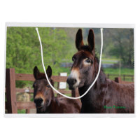 ろば、馬およびラバの独占記事のギフトバッグ