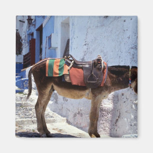 ろば、Fira Santorini、ギリシャ マグネット