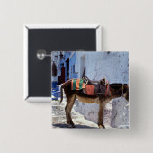 ろば、Fira Santorini、ギリシャ 缶バッジ (正面&裏面)