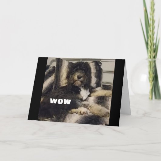 わあ信じあ30枚のカード カード (正面)