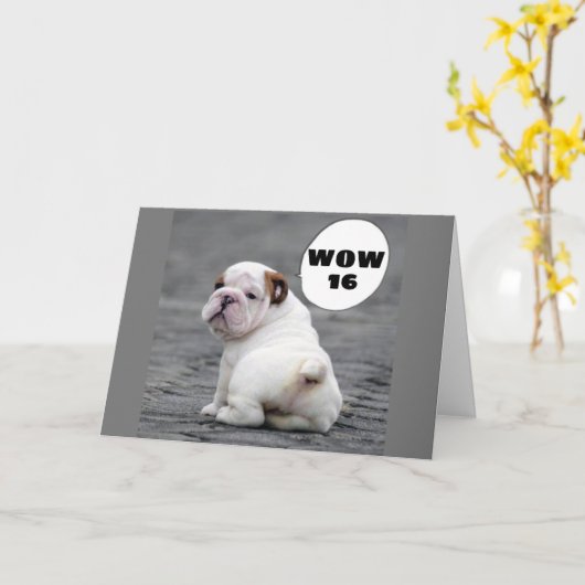 わあ – -***16****行け！ カード (黄色い花)