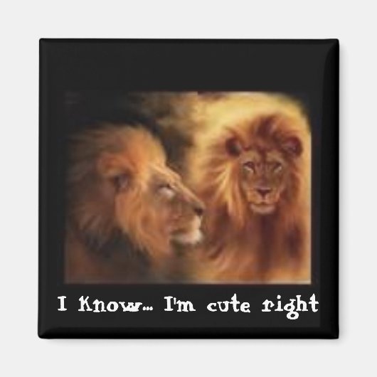 わかってる…私は可愛いよね マグネット (正面)