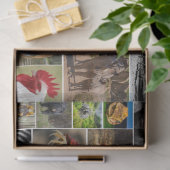 「わが動物王国」野生動物ティッシュペーパー 薄葉紙 (ギフト)