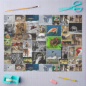 「わが動物王国」野生動物ティッシュペーパー 薄葉紙 (クラフト)