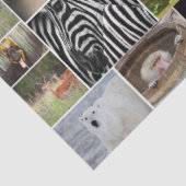 「わが動物王国」野生動物ティッシュペーパー 薄葉紙 (詳細)