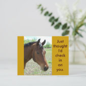 わが友よ、馬 ポストカード (スタンド正面)