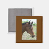 わが友よ、馬 マグネット (正面/裏面)