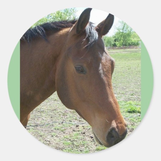 わが友よ、馬 ラウンドシール (正面)
