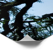 わき向きのオーク ポスター (角)