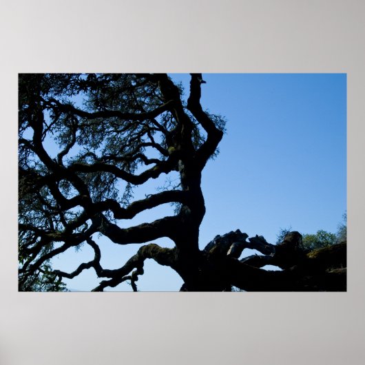 わき向きのオーク ポスター (正面)