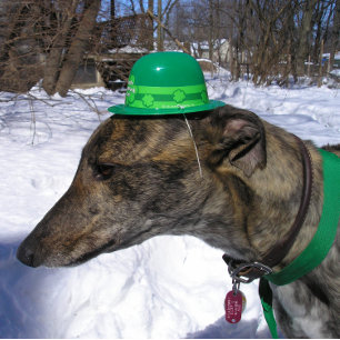 「わしがお前と競争しよう！」 カード