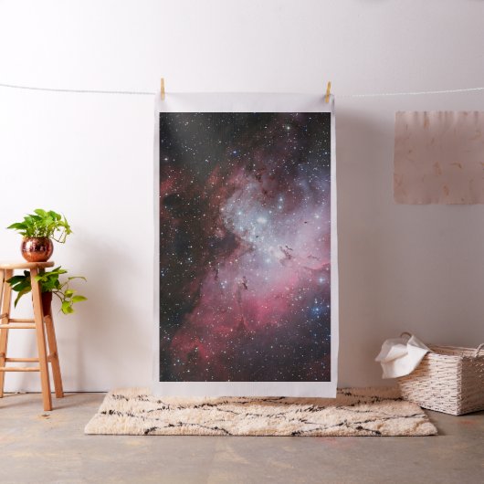 わし星雲 ファブリック (インサイチュ)