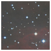 わし星雲 ファブリック (クローズアップ)