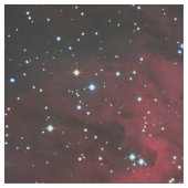 わし星雲 ファブリック (見本)