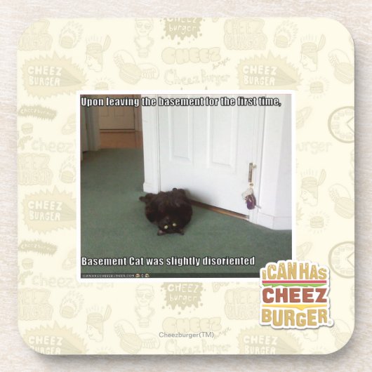 わずかに戸惑う地階猫、 コースター (正面)