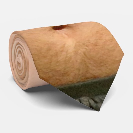 わずかに毛の多い胸 ネクタイ (ロール)