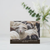 わたしの羊はわたしの声を聞く,ヨハネ10:27, ポストカード (スタンド正面)