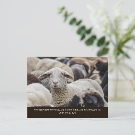 わたしの羊はわたしの声を聞く,ヨハネ10:27, ポストカード (スタンド正面)