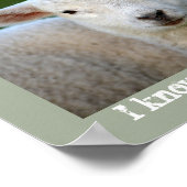 わたしの羊はわたしの声を聞く。聖書のヨハネ10:27, ポスター (角)