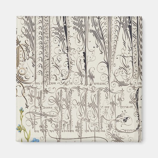 わた忘れに這い寄る、虫と足甲皮 マグネット (正面)