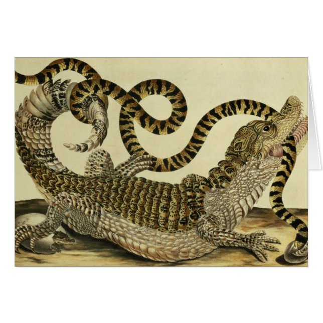 わにおよびヘビ1730年(着色された版木、銅版、版画) (正面横)