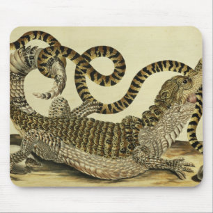 わにおよびヘビ1730年(着色された版木、銅版、版画) マウスパッド