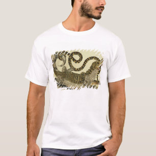 わにおよびヘビ1730年(着色された版木、銅版、版画) Tシャツ