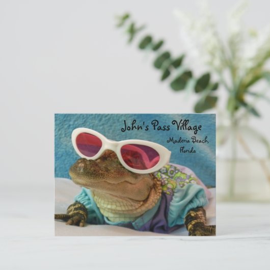 わにジョンのパスのMaderiaのビーチの郵便はがき ポストカード (スタンド正面)