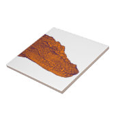 わに一見 タイル (側面)