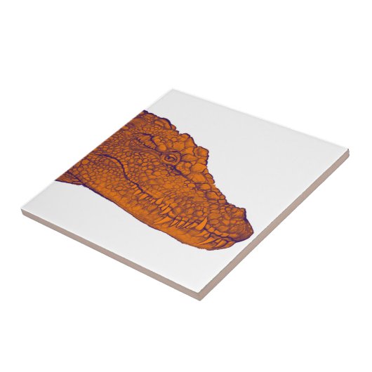 わに一見 タイル (側面)