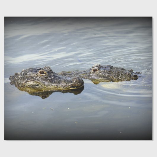 わに愛 ラッピングペーパー (フラット)