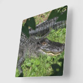 わに日に晒すこと スクエア壁時計 (傾斜)