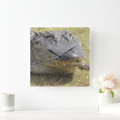 わに時計 スクエア壁時計 (ホーム)