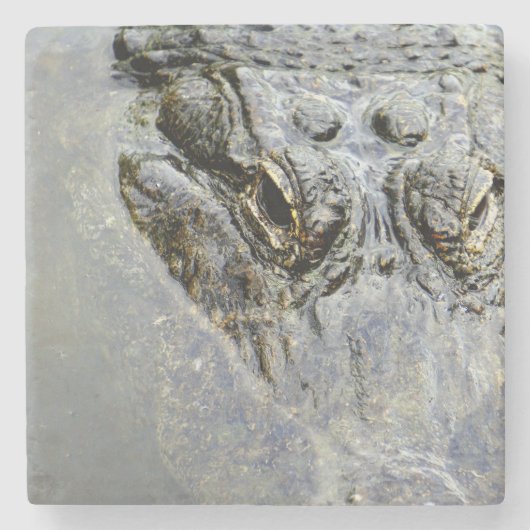 わに2 ストーンコースター (正面)