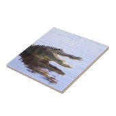 わに タイル (側面)