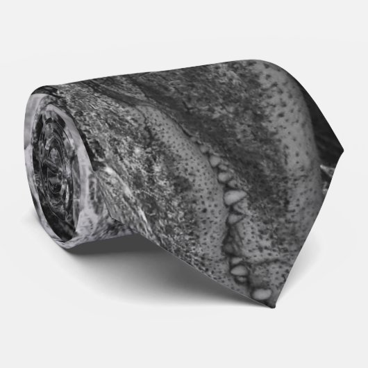 わに ネクタイ (ロール)