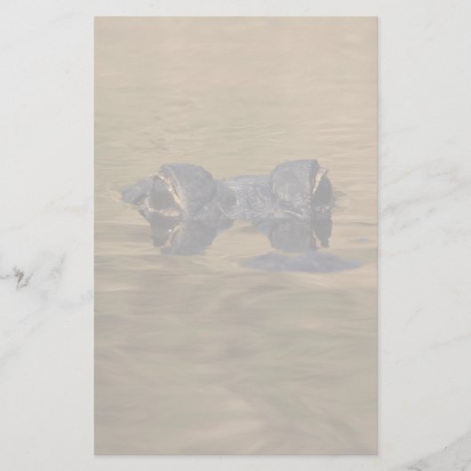 わに 便箋 (正面)