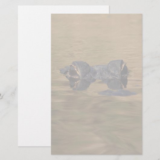 わに 便箋 (正面/裏面)