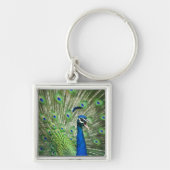 わめく孔雀 キーホルダー (正面)