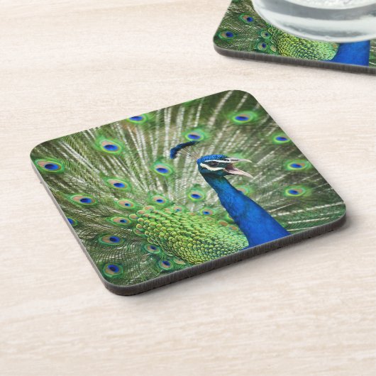 わめく孔雀 コースター (左側)