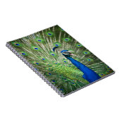 わめく孔雀 ノートブック (右側)