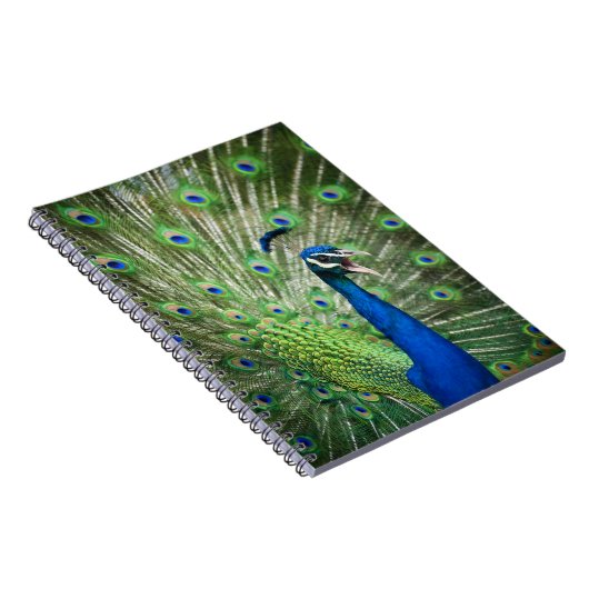 わめく孔雀 ノートブック (右側)